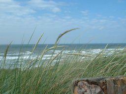 Strandimpression